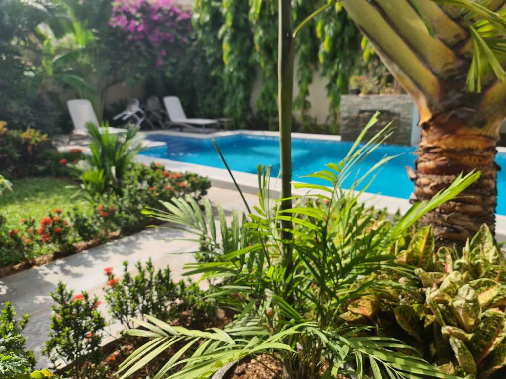 阿比让贾迪斯别墅旅馆的花园内的游泳池