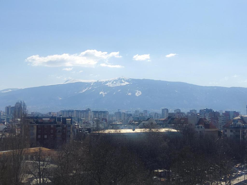 索非亚Mountain view apartment的享有雪覆盖的山城美景