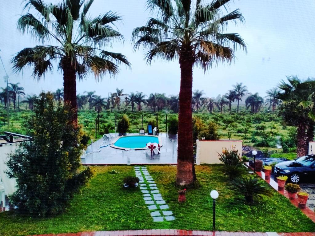 贾迪尼-纳克索斯Villa Laura Apartment的享有棕榈树游泳池的顶部景致
