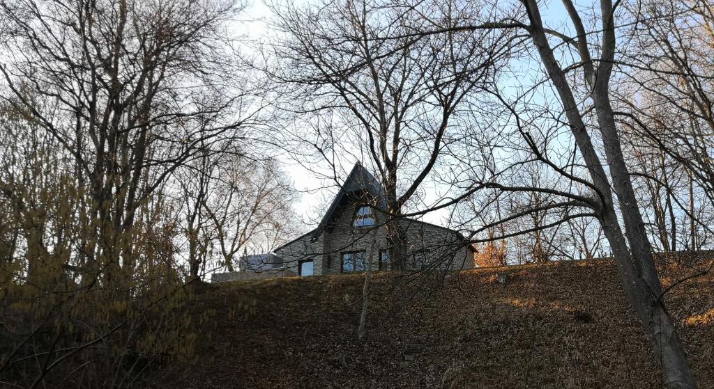 保拉德Mountain cottage的树上小山顶上的房子