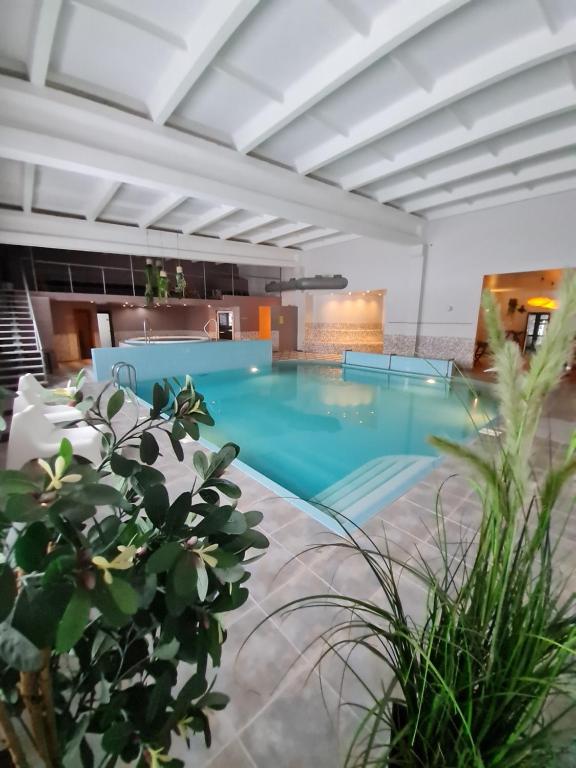 叶卡布皮尔斯柑橘温泉酒店的植物群中的一座大型游泳池