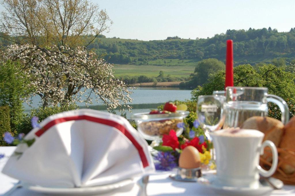 沙尔肯梅伦马尔布里克酒店的一张带食物和饮料的桌子,享有湖景