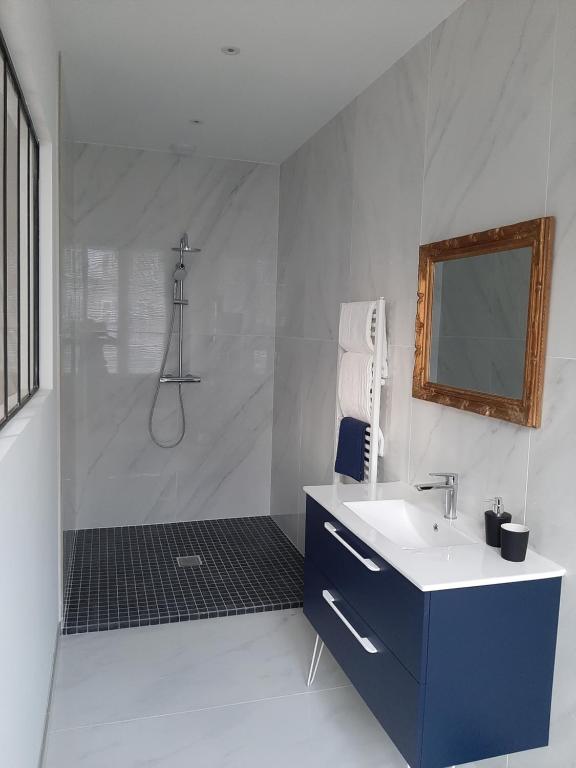勒米尔蒙La chambre de maître du boulevard Thiers, entrée et terrasse privatives的白色的浴室设有水槽和淋浴。