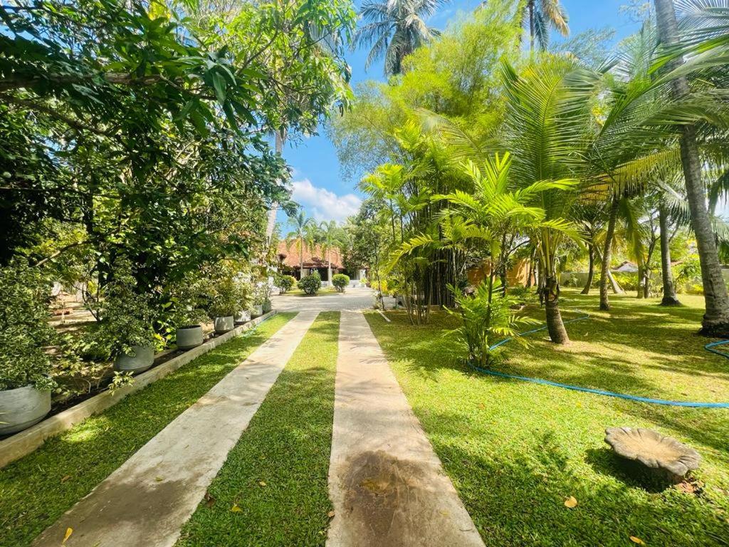 尼甘布克尚度假屋的一条穿过棕榈树和草地的公园的小路