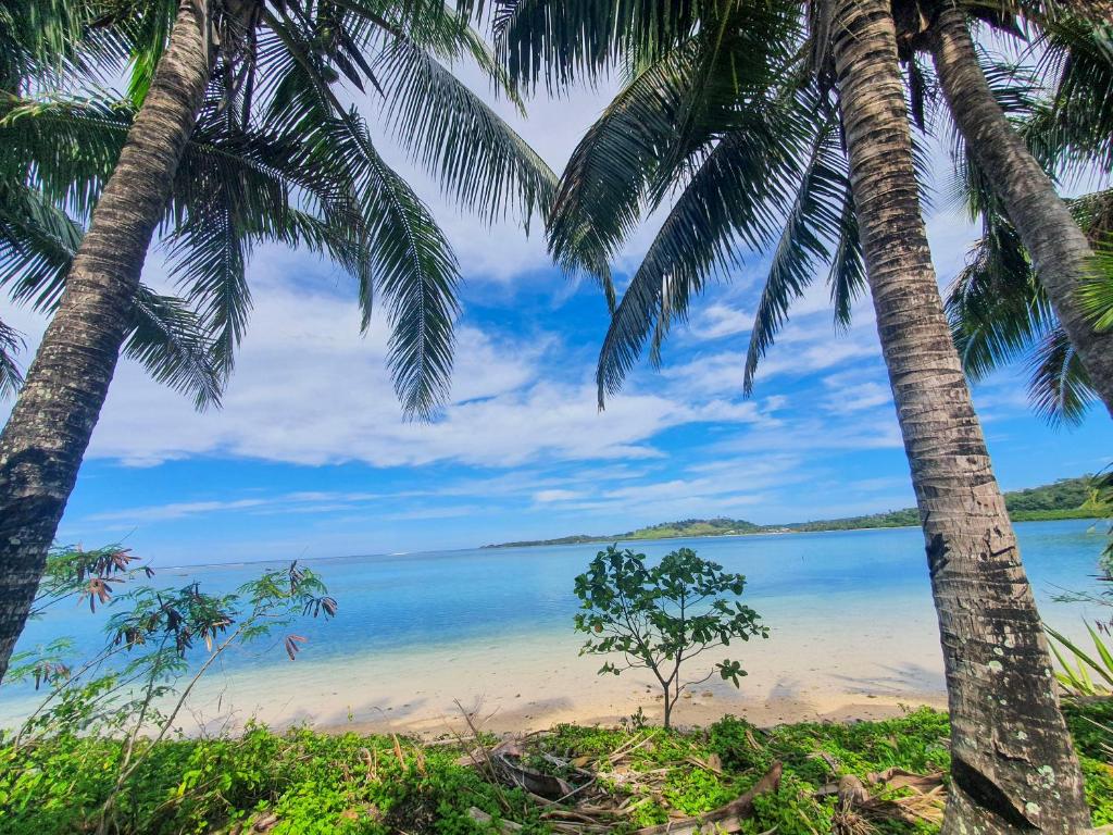 克罗托格Ramada Suites By Wyndham Seafront Coral Coast的享有棕榈树海滩的美景
