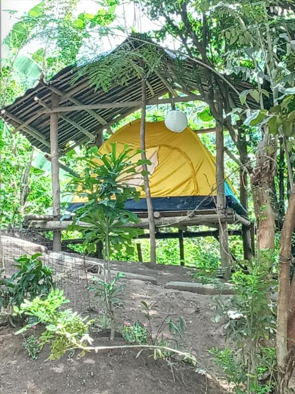 安蒂波洛Raw Camping at Camping Paradise Singalong Mountain Garden的凉亭配有黄色和蓝色的雨伞