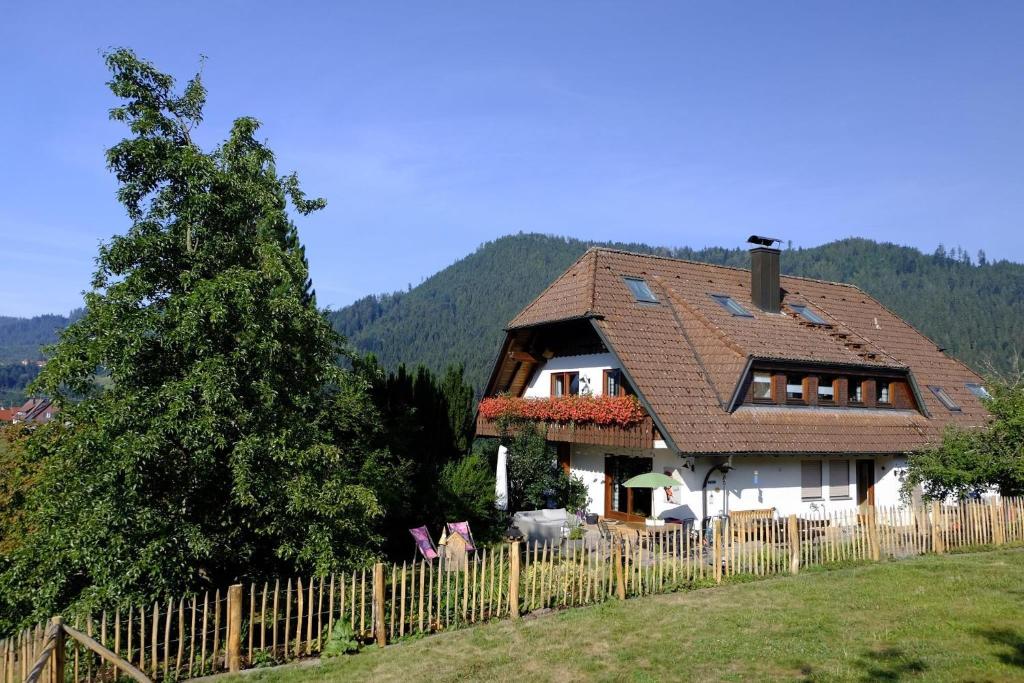 拜尔斯布龙SchwarzWild - Ferienwohnung und Ferienzimmer的田野上带木栅栏的房子