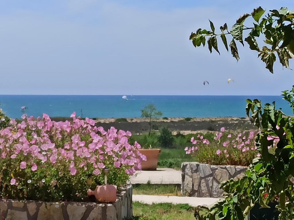 Ágios NikólaosKnots apartments的一片粉红色的花,背景是大海