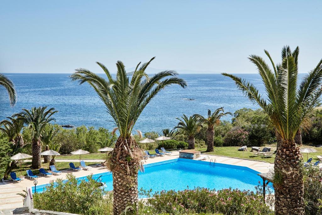加夫里翁安德罗斯假期酒店的棕榈树和大海的游泳池