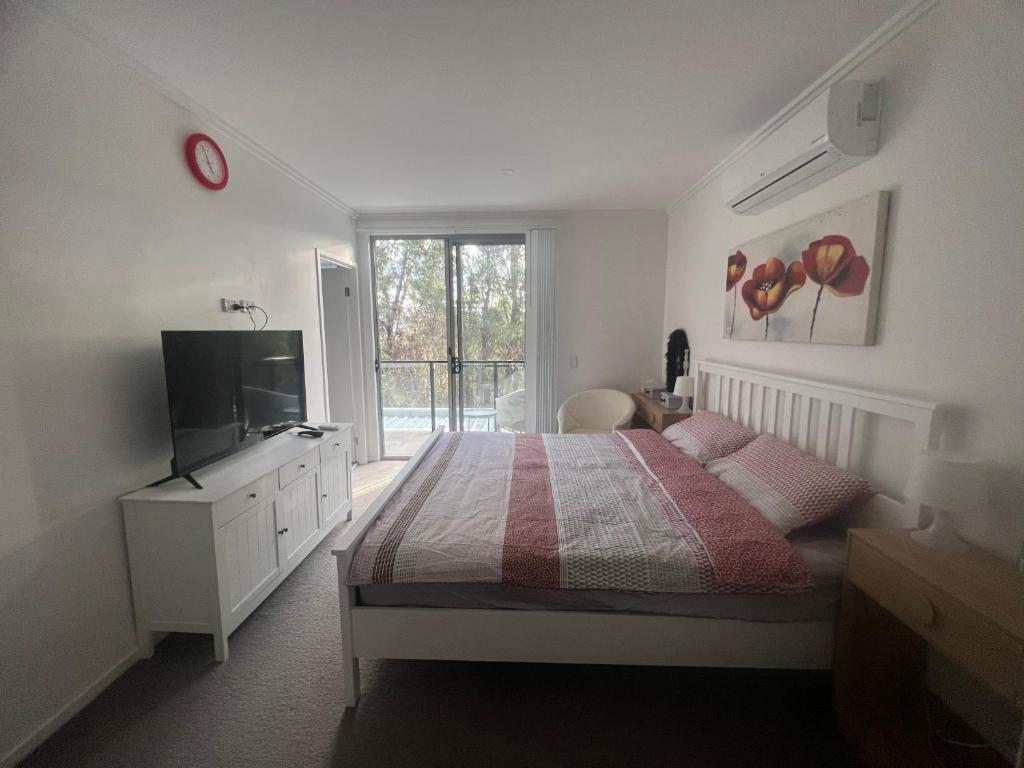 黄金海岸Superstar’s home stay的一间卧室设有一张床、一台电视和一个窗口。