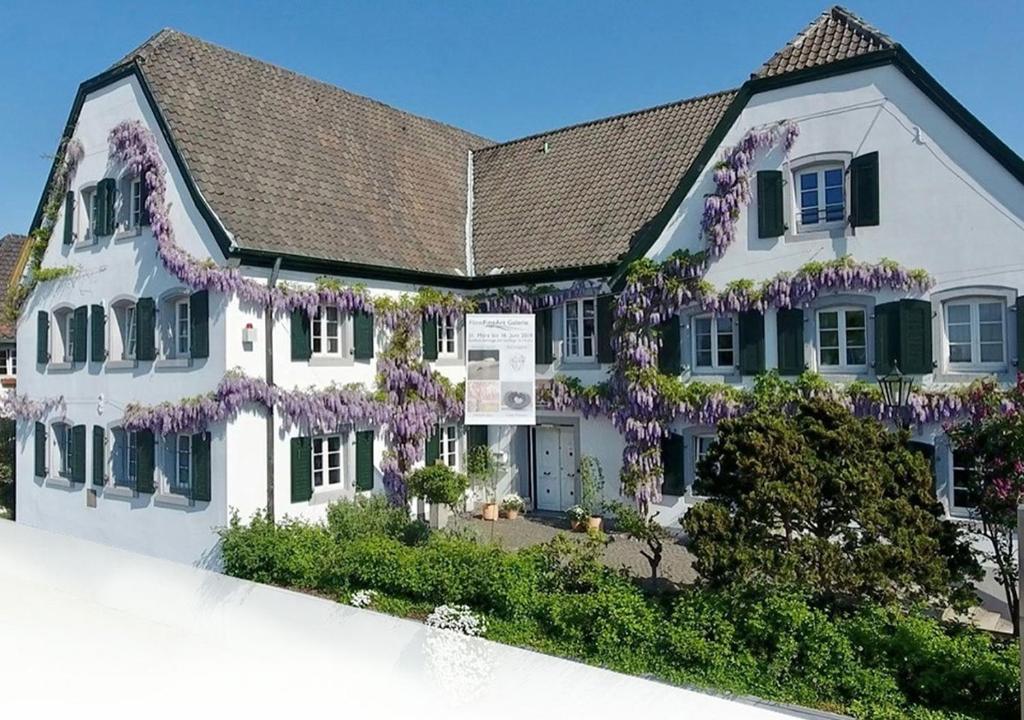 勒沃库森Rhein River Guesthouse - direkt am Rhein的紫色紫色紫藤覆盖的白色房子