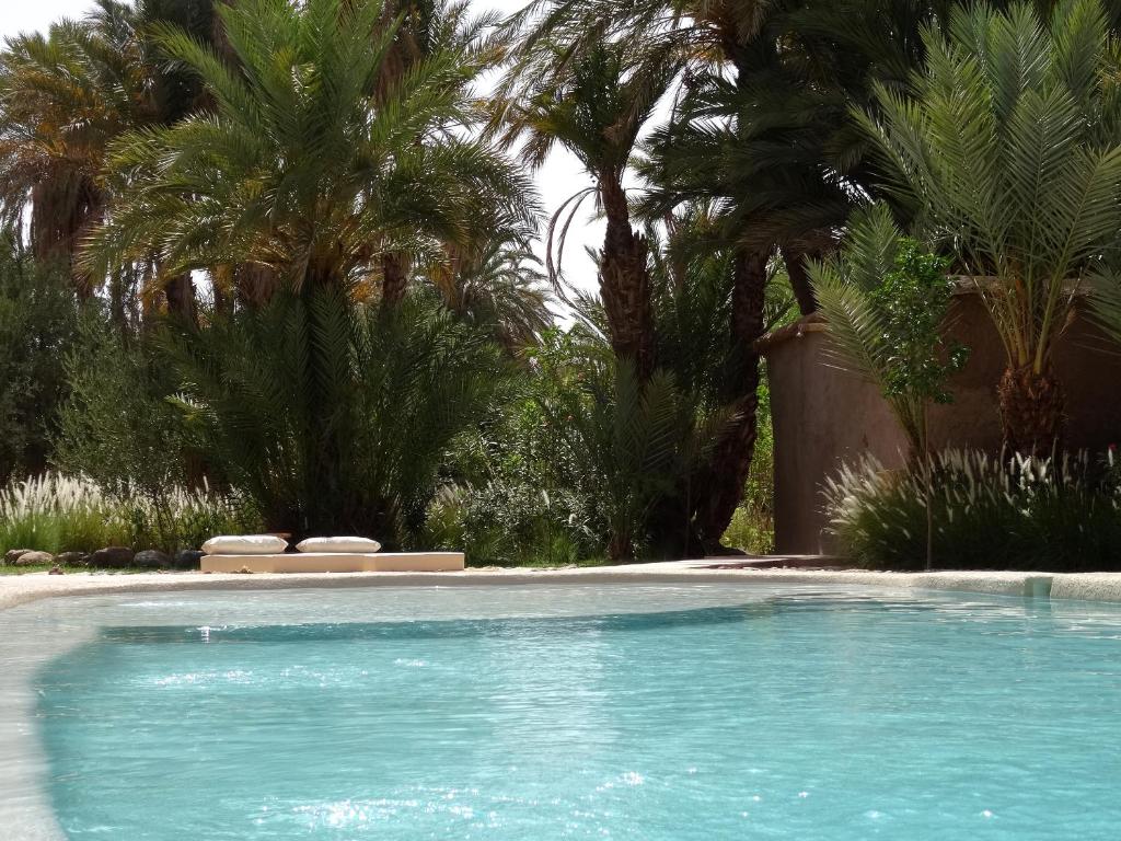 斯库拉勒马旅馆的棕榈树庭院内的游泳池