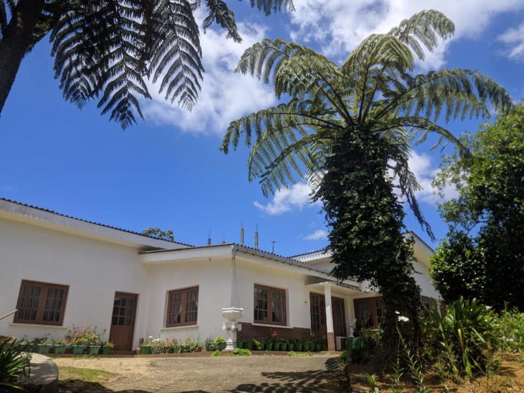 努沃勒埃利耶Acme Divine View的白色房子前面的棕榈树