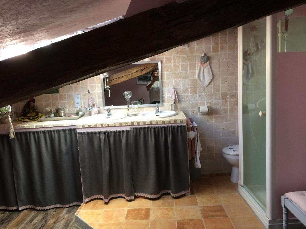 Aigonnayl'Ancienne Forge的一间带水槽和镜子的浴室