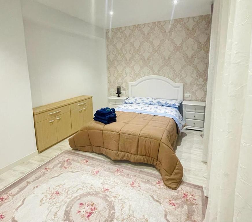 卡斯特利翁-德拉普拉纳Bianca Home的一间卧室配有一张床和一张大地毯