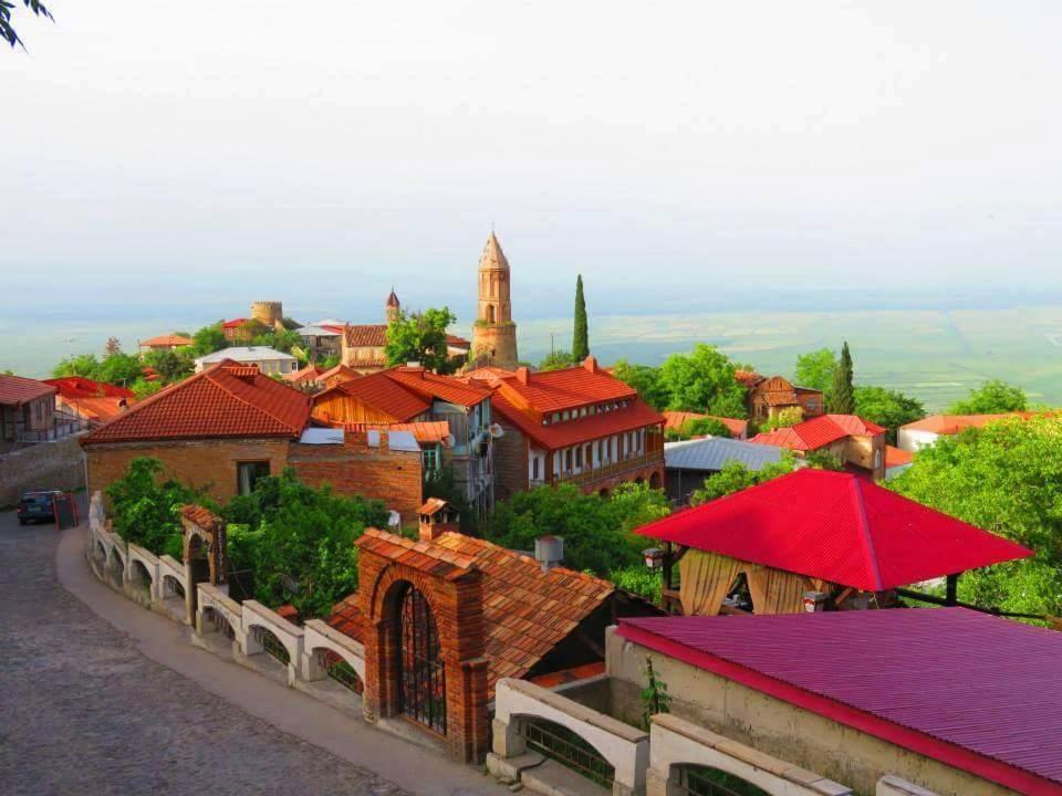 西格纳吉Guest House Chirina的享有红色屋顶的城镇景色