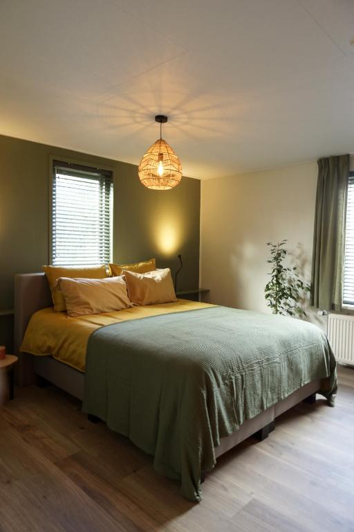 斯塔普霍斯特Bed and Breakfast het Groentje的一间卧室配有一张大床和一个吊灯。