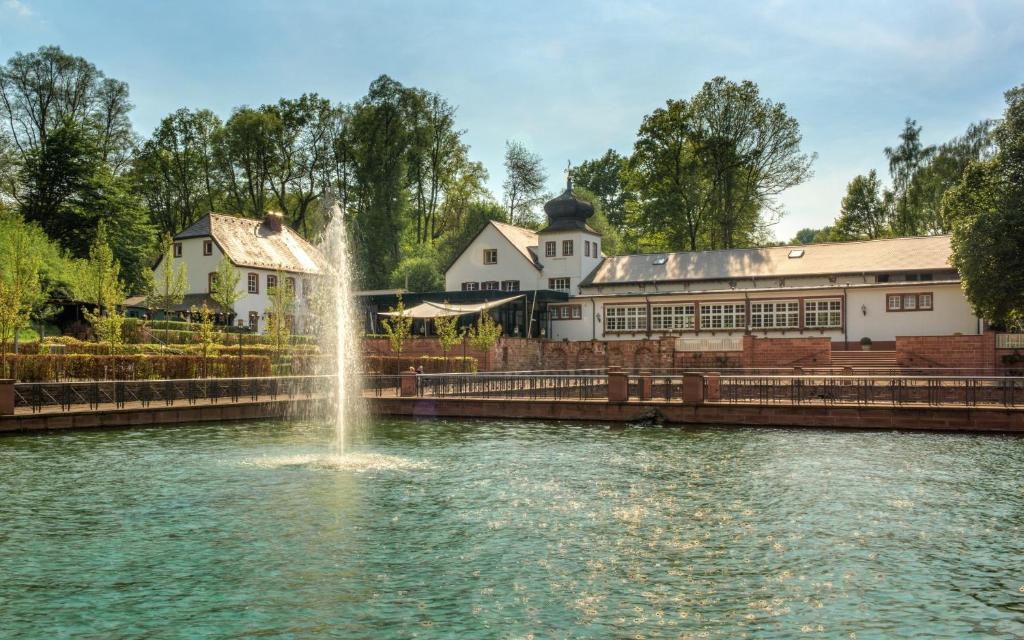 茨魏布肯法萨奈瑞兰德城堡罗曼蒂克酒店的建筑物前水中的喷泉