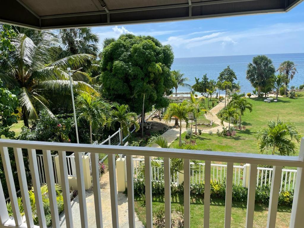 白豪斯Westmore Beach Villas Limited的阳台享有大海和棕榈树的景致。