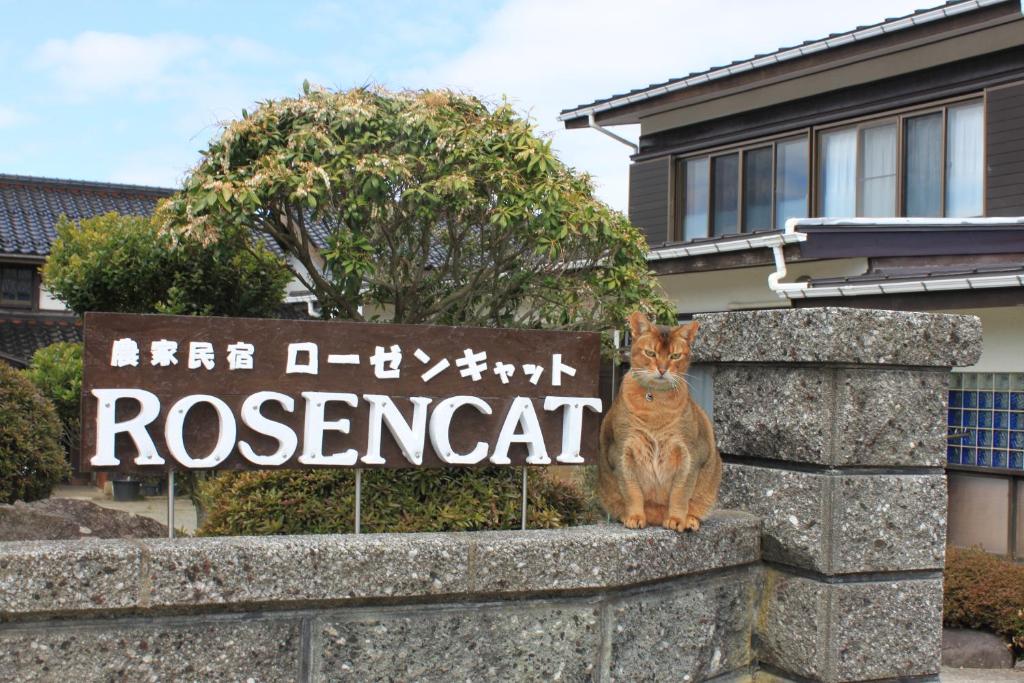 佐渡市Rosencat的一只猫坐在石墙的标志前