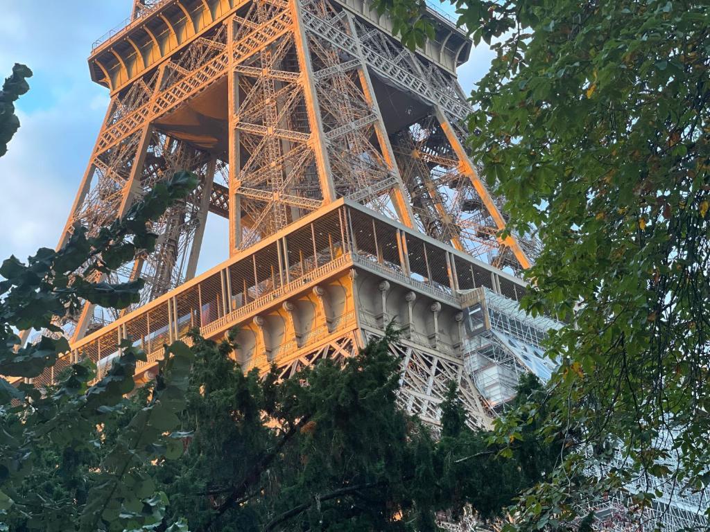巴黎美妙停留酒店的透过一棵树欣赏艾菲尔铁塔的景色