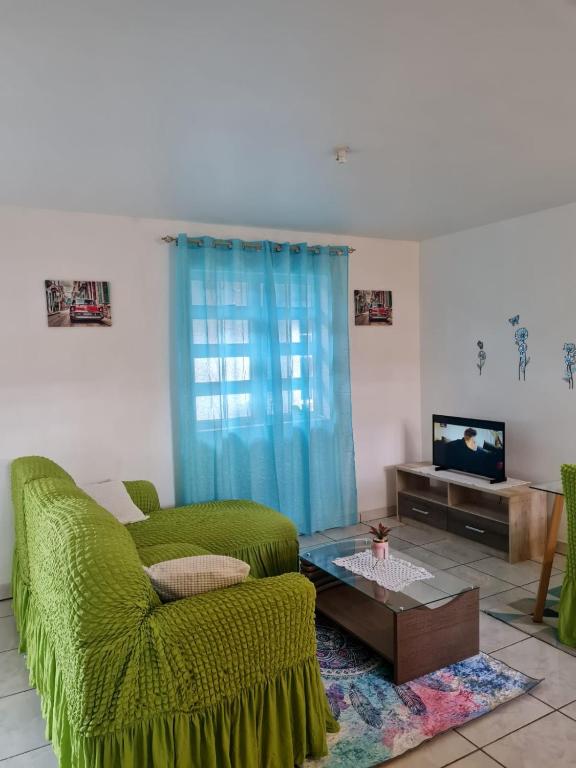 马罗尼河畔圣洛朗CHEZ VERVEINE的客厅配有绿色椅子和电视