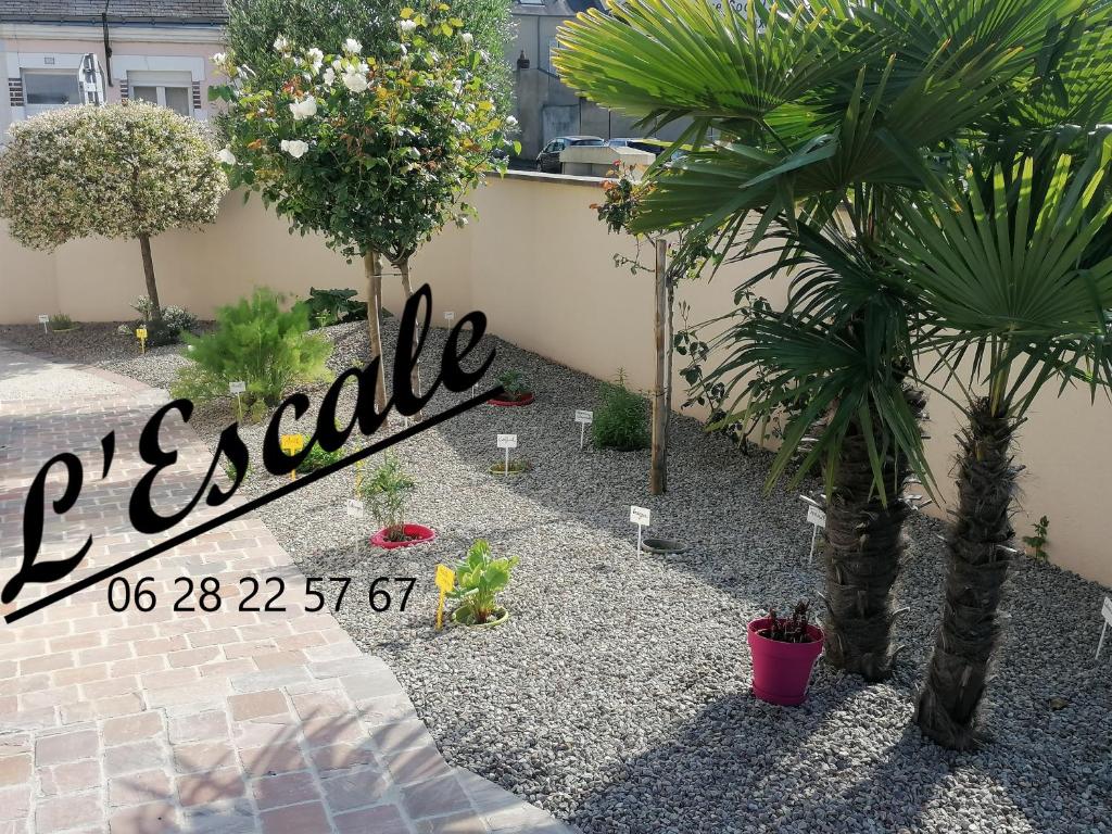 勒芒L'Escale, chambres chez l'habitant的种有棕榈树和标志的花园里