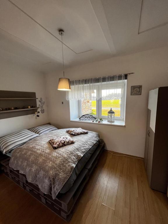 PodbřezíÚtulné spaní ve venkovské chaloupce s vířivkou的一间卧室设有一张床和一个窗口