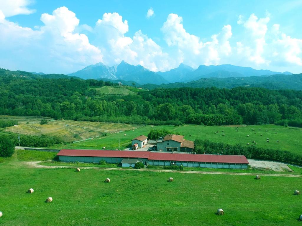 菲维扎诺Agriturismo La Praduscella的牧场上的谷仓,牧羊群在草地上