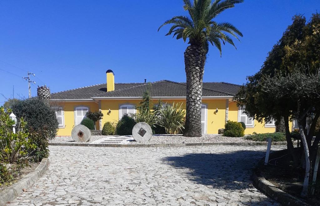 福什科阿新镇A Flor da Rosa的一座黄色房子,前面有一棵棕榈树