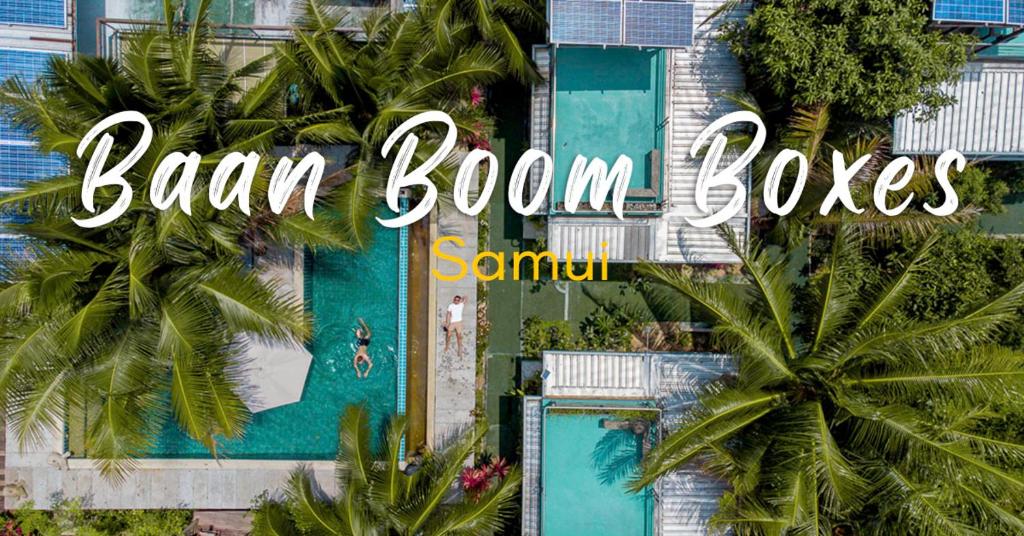 湄南海滩Baan Boom Boxes Eco Friendly Resort的享有棕榈树游泳池的顶部景致