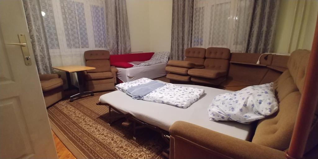 尼赖吉哈佐Akhilleus vendégház的客厅配有沙发和椅子