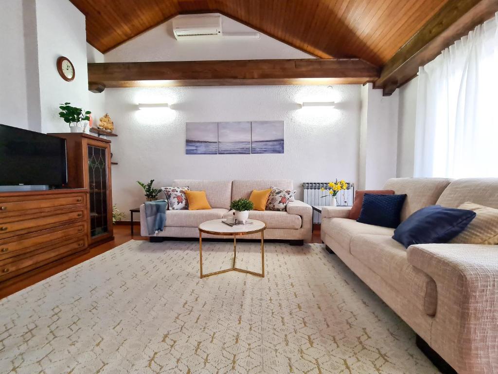 罗维尼Apartments & Rooms Ivana的带沙发和电视的客厅