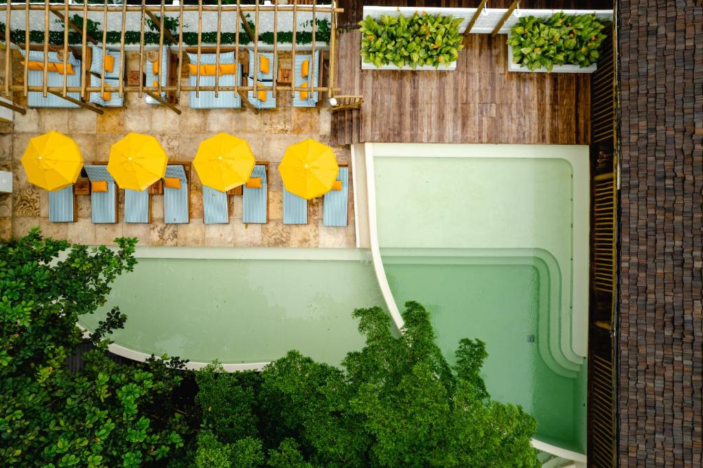 杰里科科拉Café Jeri Hotel的享有游泳池的顶部景致,配有黄色遮阳伞