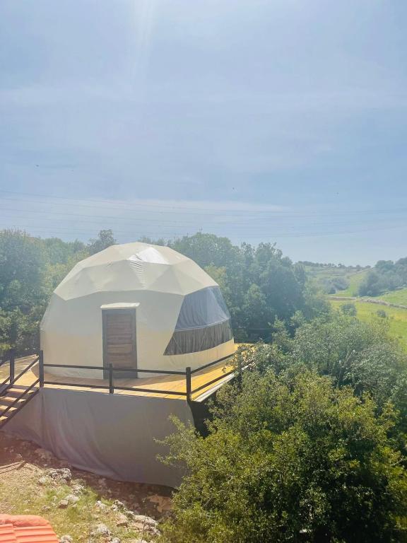 阿杰隆ببالز Ajloun عش وسط الطبيعة - ِAjloun Bubbles Live amid nature的田野顶上的大型白色圆顶帐篷
