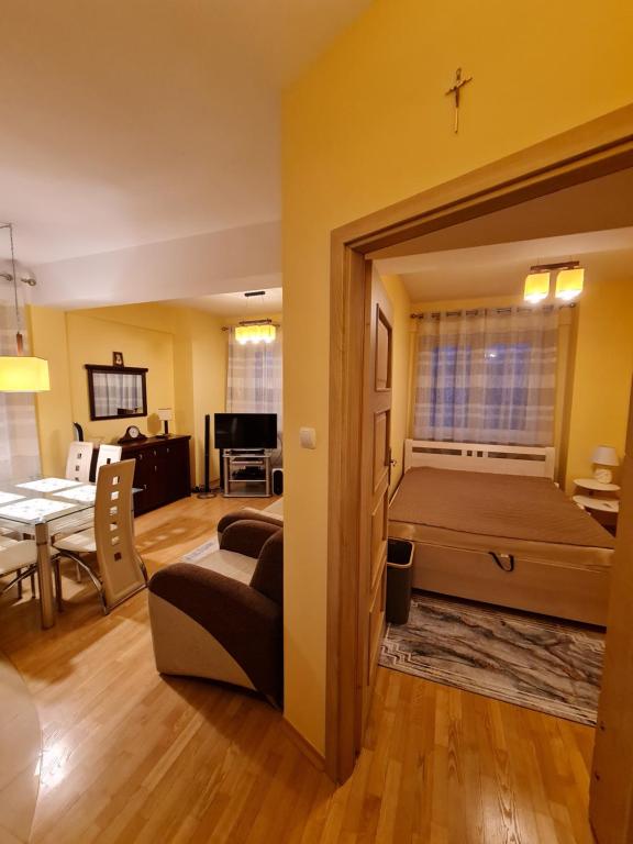 普沃茨克Apartament w Centrum的一间卧室设有一张床和一间客厅。