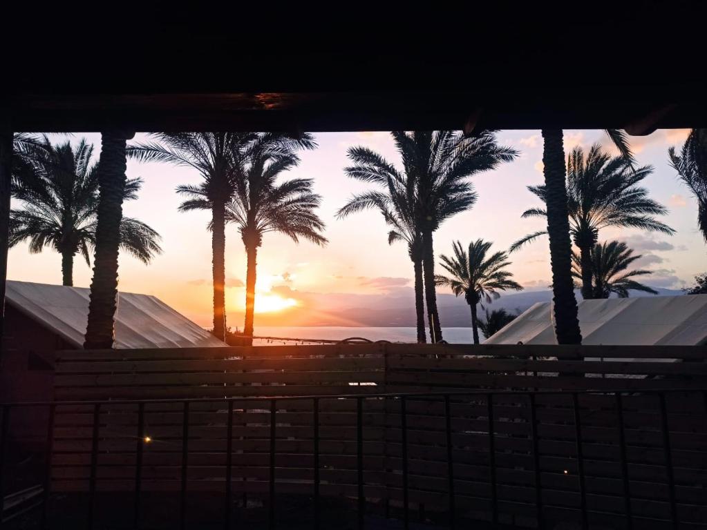 莫沙夫拉莫特Crimson View的透过棕榈树的窗户看到的日落