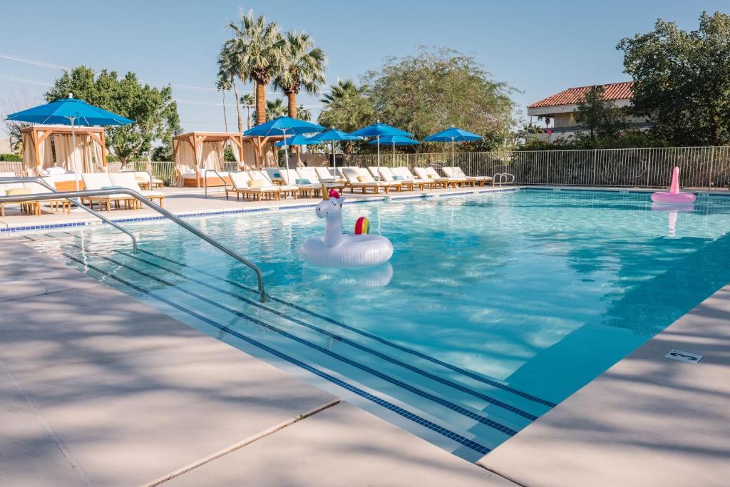棕榈泉L3 Oasis Hotel的水中有两个充气天鹅的游泳池