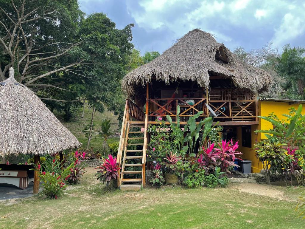 GuachacaEcoHostal Palmares Del Rio的一座带梯子和茅草屋顶的小房子