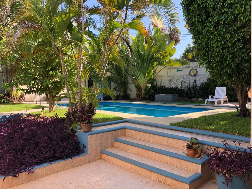 梅里达Suites del Sureste - Mérida的通往棕榈树游泳池的楼梯