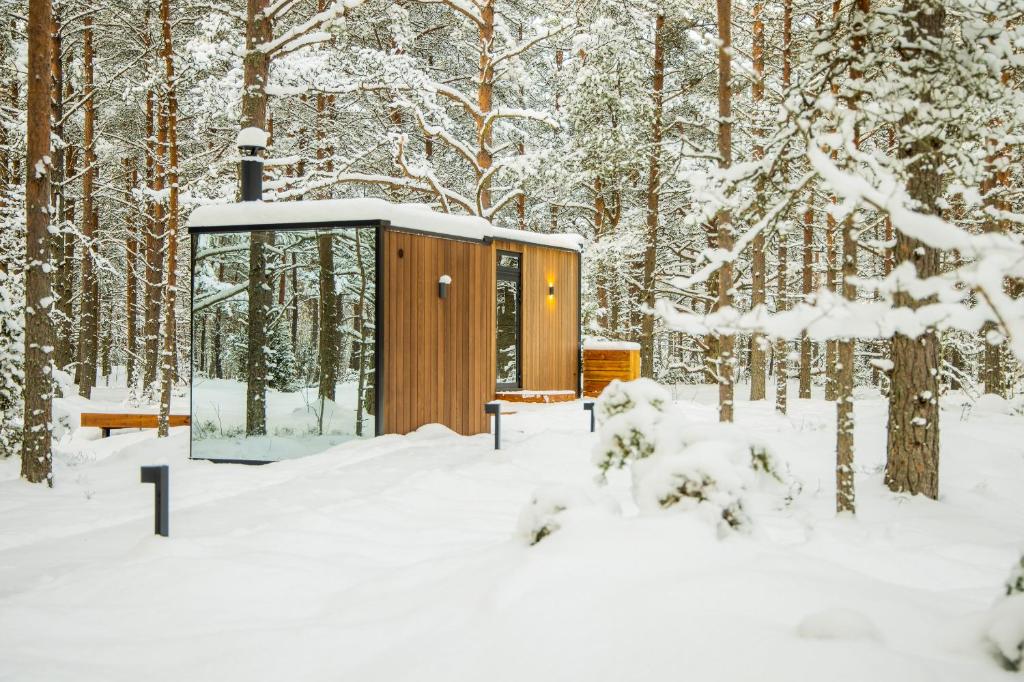 PunakiviÖÖD Hötels Laheranna SUME -with sauna的雪中树林中的小屋