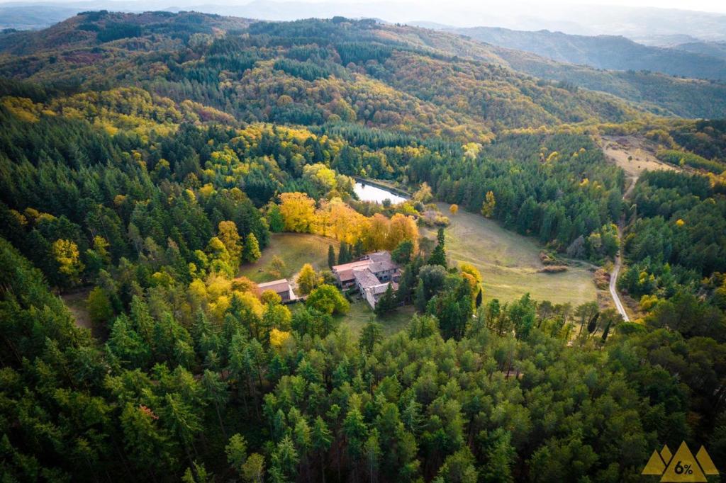 基安蒂格雷夫Albergo Villa San Michele的森林中间房屋的空中景观