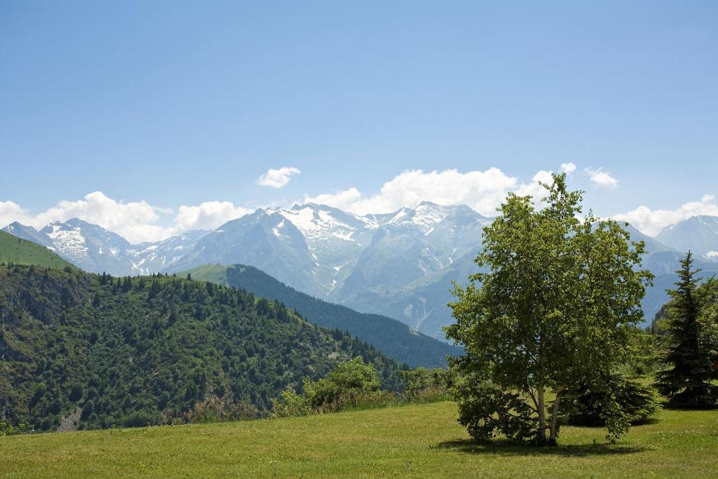 拉普德兹Lagrange Vacances l'Alpenrose的相册照片