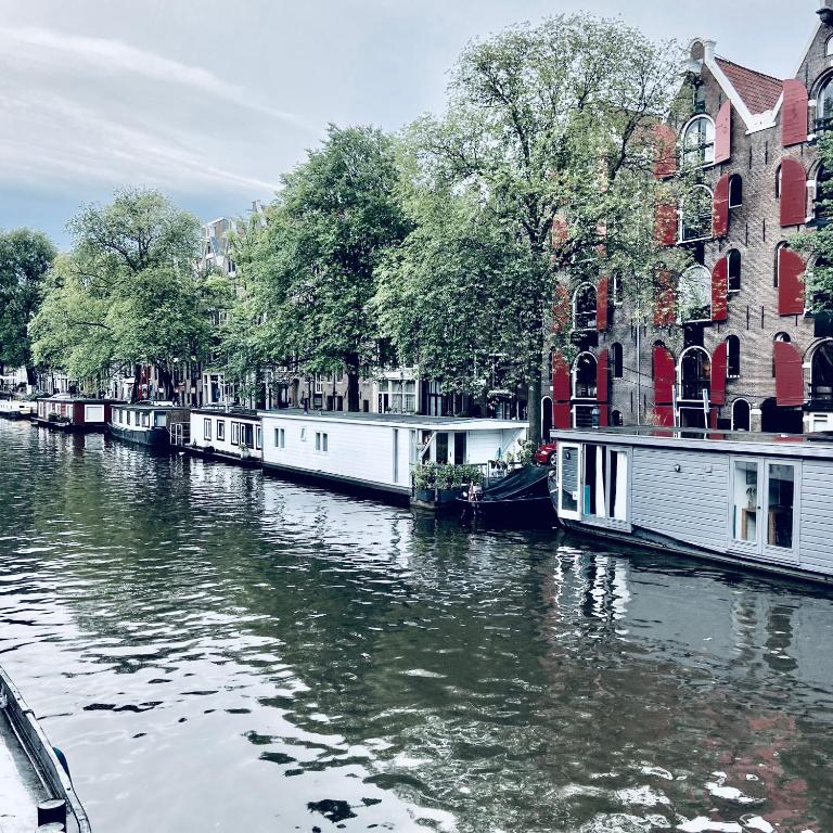 阿姆斯特丹Houseboat Bonnie的一群船在建筑物前的河上