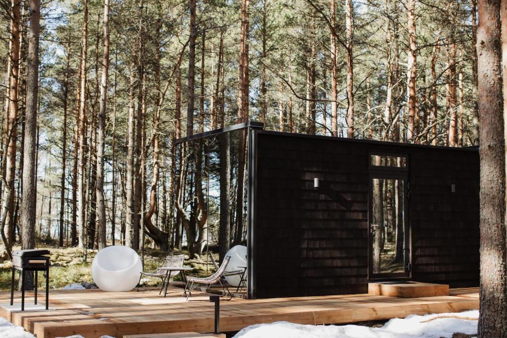PunakiviÖÖD Hötels Laheranna SUDU- with sauna的白色的树林中的黑色小屋