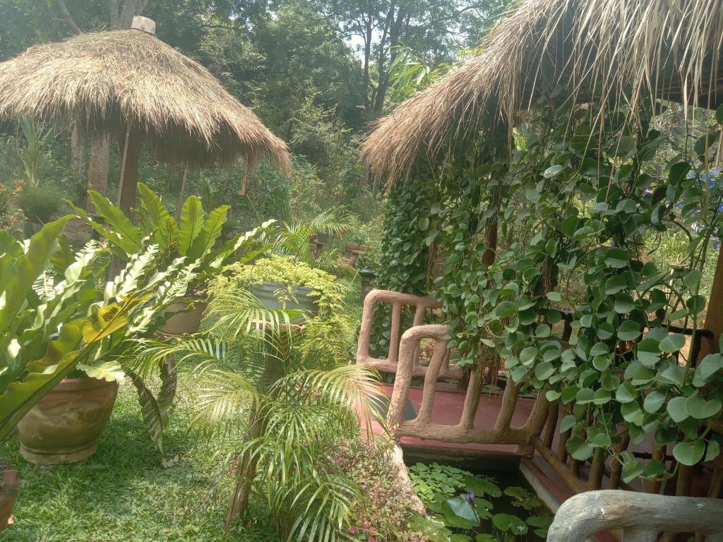 锡吉里亚Sigiriya Nature View home Stay的花园里种着一束植物的长凳