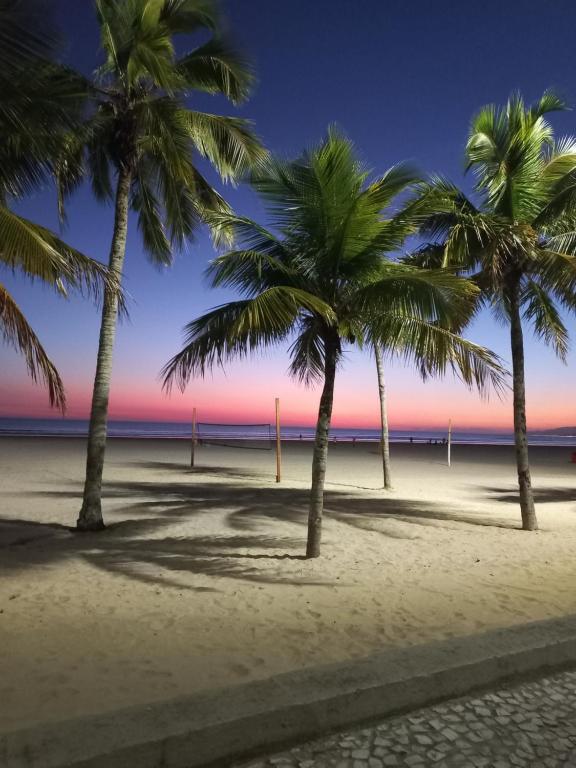 大普拉亚Solar Canto do Forte的日落时分在海滩上种植的棕榈树