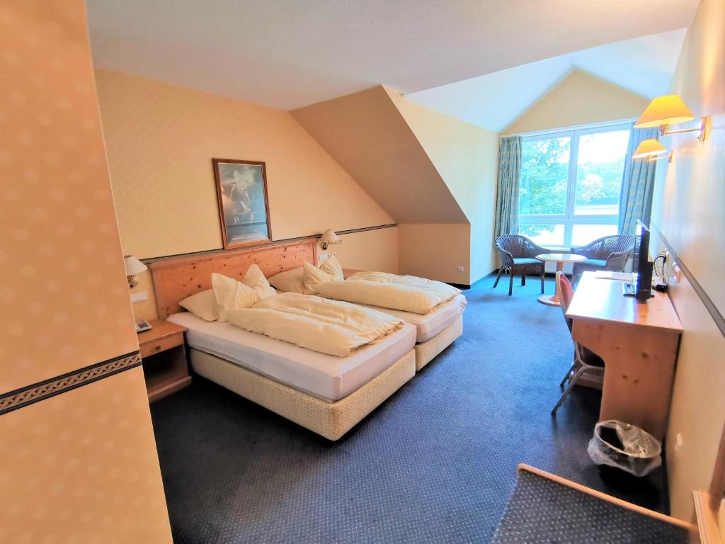 Freren萨勒海埃姆斯兰德酒店的配有一张床和一张书桌的酒店客房