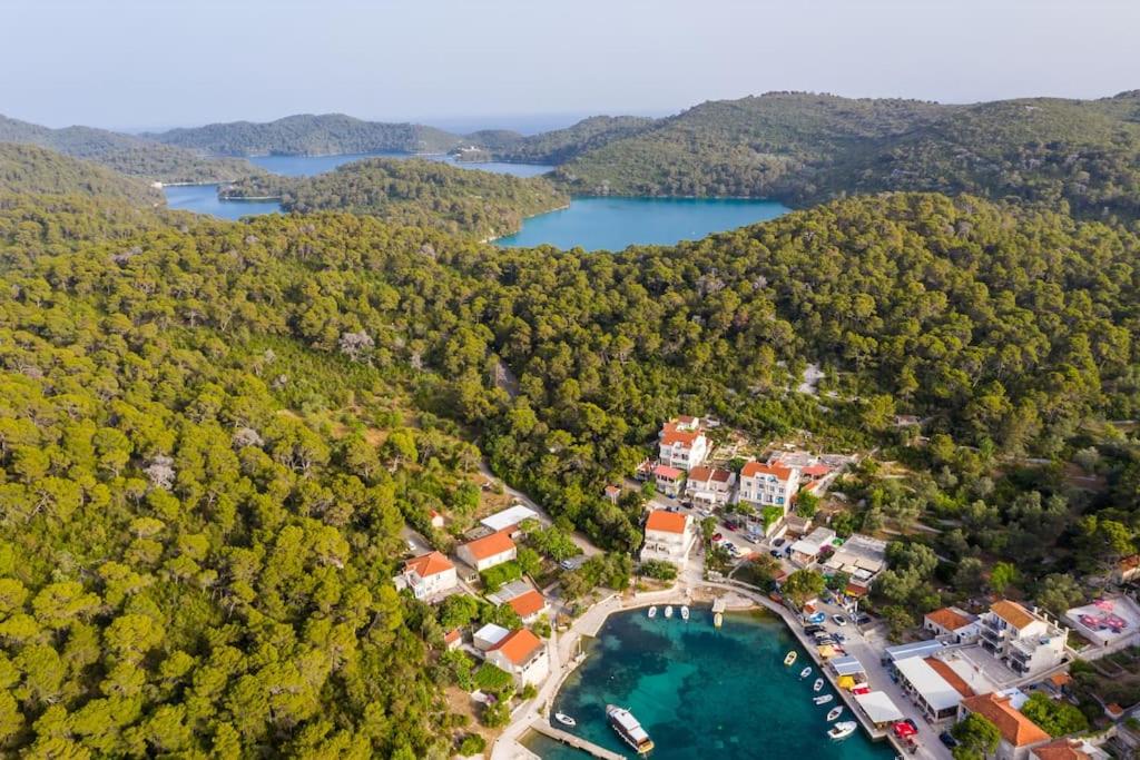 古维达里Corallium Imperiale的享有度假村和湖泊的空中景致