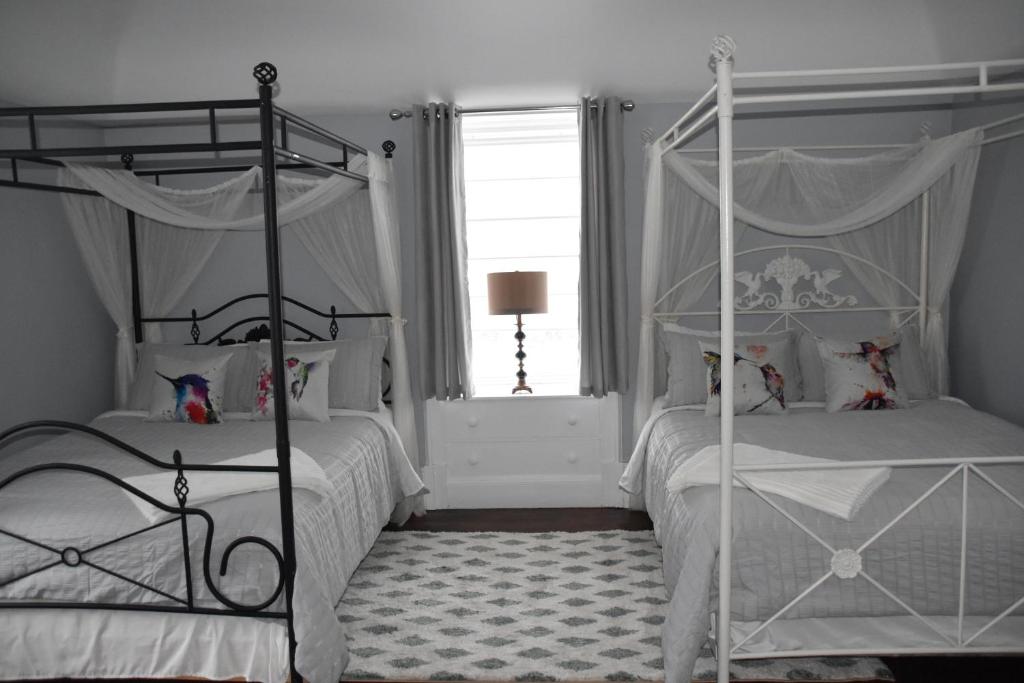 皮克图Seabank House Bed and Breakfast Hummingbird的一间卧室设有两张双层床和一扇窗户。